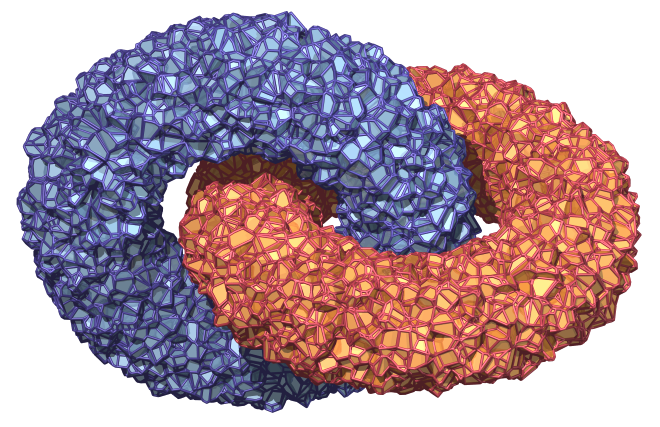 Two tori demonstrating the loop classes in Voro++